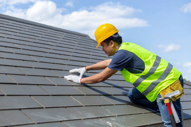 Best Roof Gutter Cleaning  in Burbank, IL