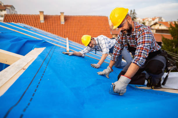 Best Flat Roof Repair Services  in Burbank, IL