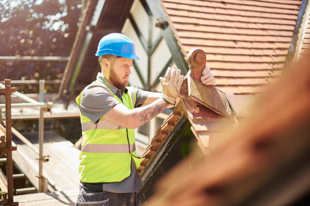 Roof Gutter Cleaning in Burbank, IL